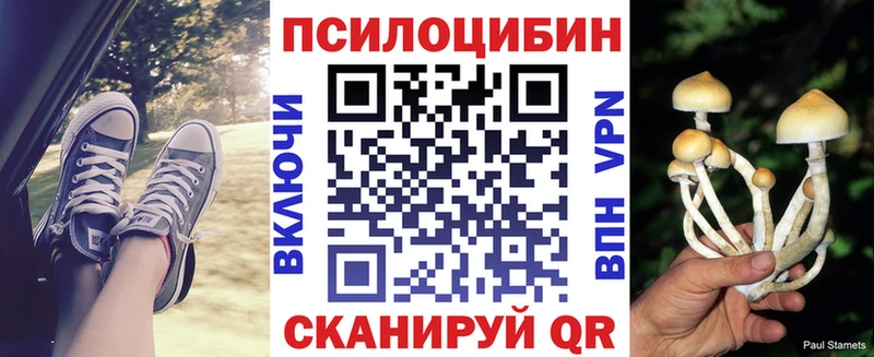 как найти   Ессентукская  Псилоцибиновые грибы мицелий 