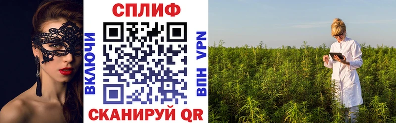 Марихуана THC 21%  кракен tor  Ессентукская 